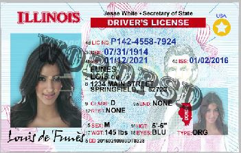 illinois drivers license template download